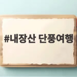 내장산 단풍여행
