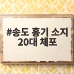 송도 흉기 소지 20대 체포 소식에 시민들이 알아야 할 안전 수칙 송도 흉기 소지 20대 체포