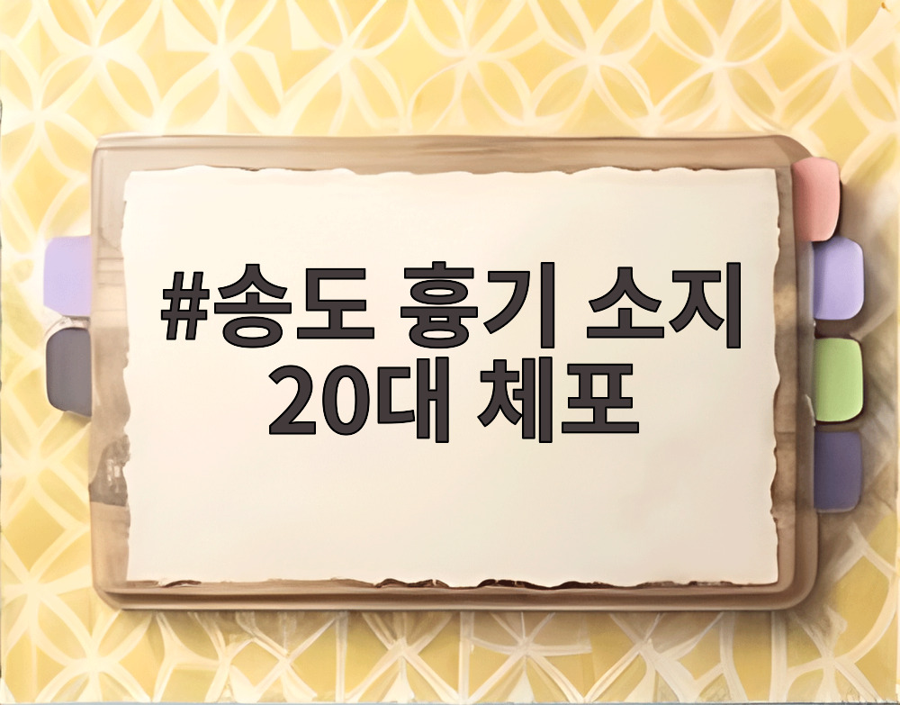 송도 흉기 소지 20대 체포