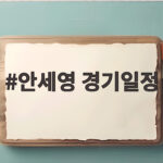 안세영 경기일정 프랑스오픈 우승까지 확인하는 방법 안세영 경기일정