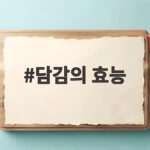 담감의 효능