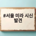 서울 미라 시신 발견