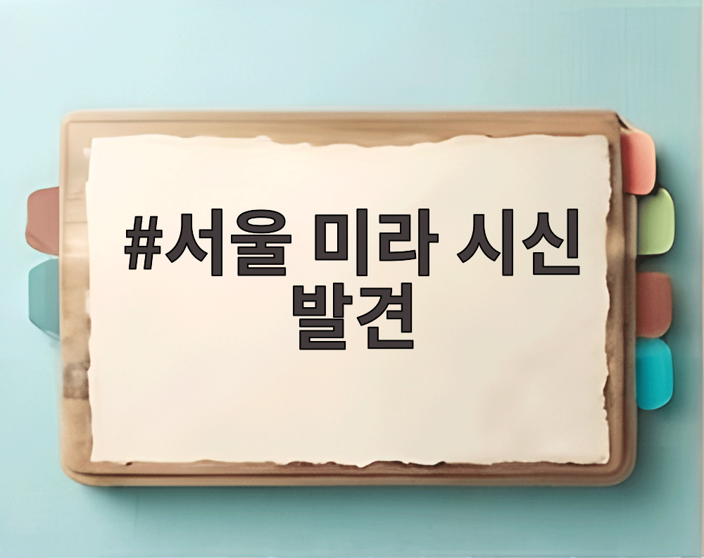 서울 미라 시신 발견