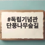 독립기념관 단풍나무숲길