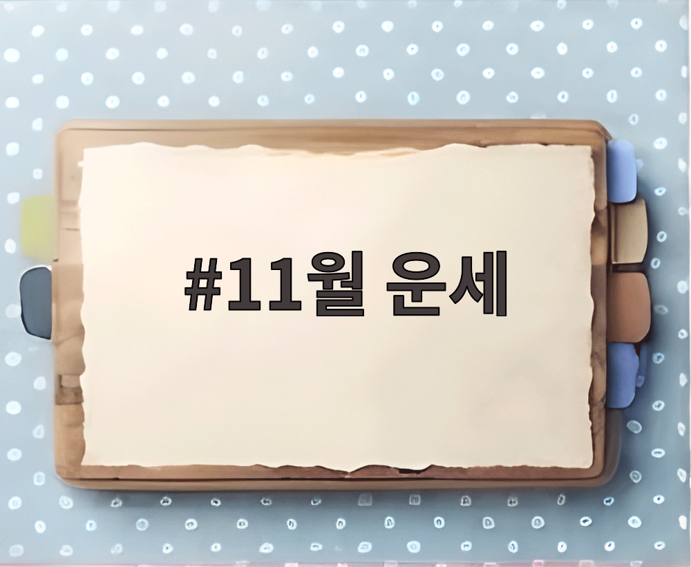 11월 운세