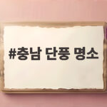 충남 단풍 명소