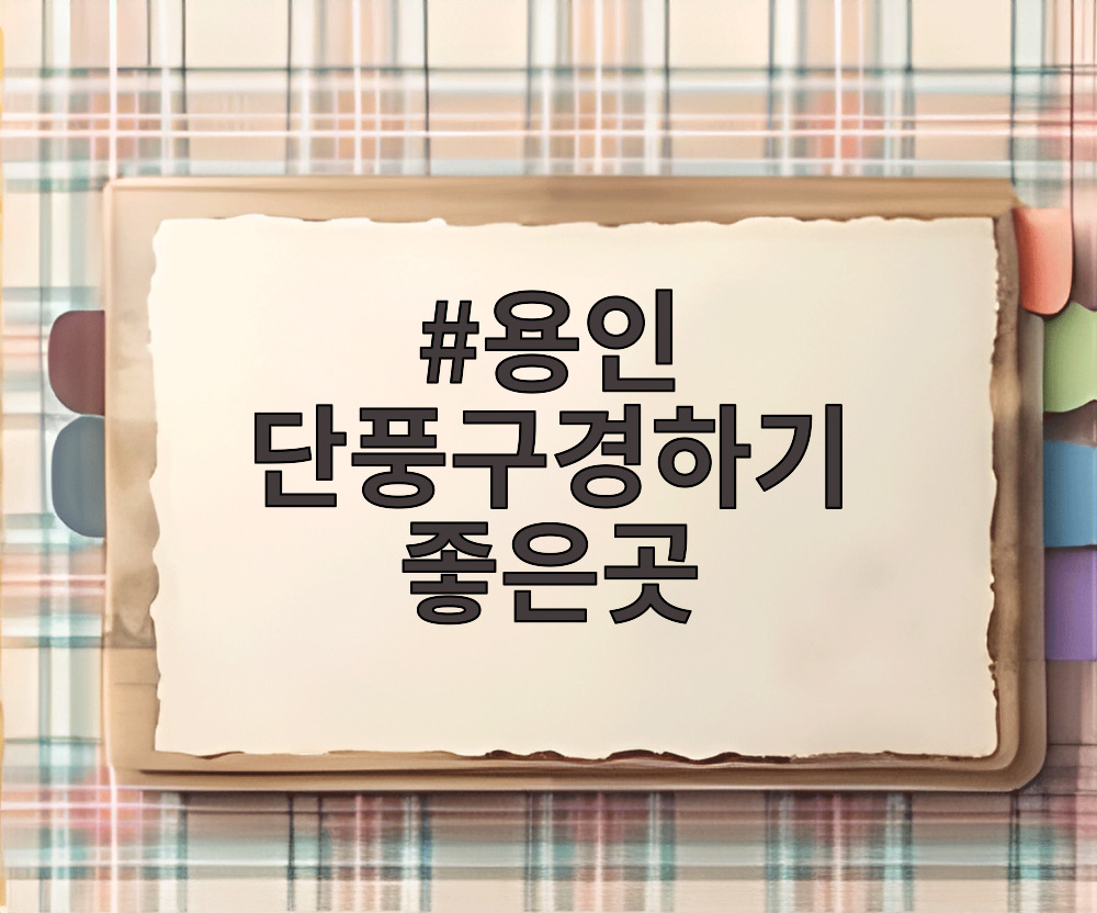 용인 단풍구경하기 좋은곳