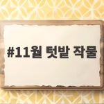 11월 텃밭 작물 이제 뭐 심을까 준비는 이렇게 11월 텃밭 작물