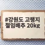 강원도 고랭지 절임배추 20kg