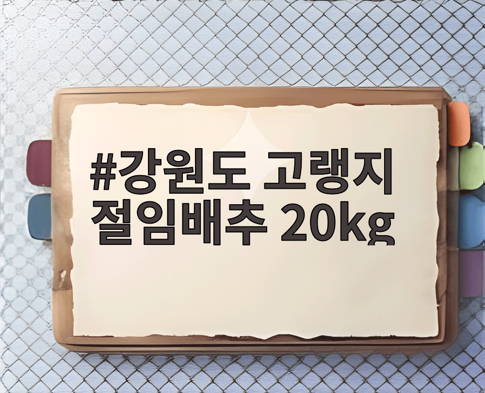 강원도 고랭지 절임배추 20kg