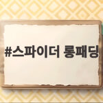스파이더 롱패딩