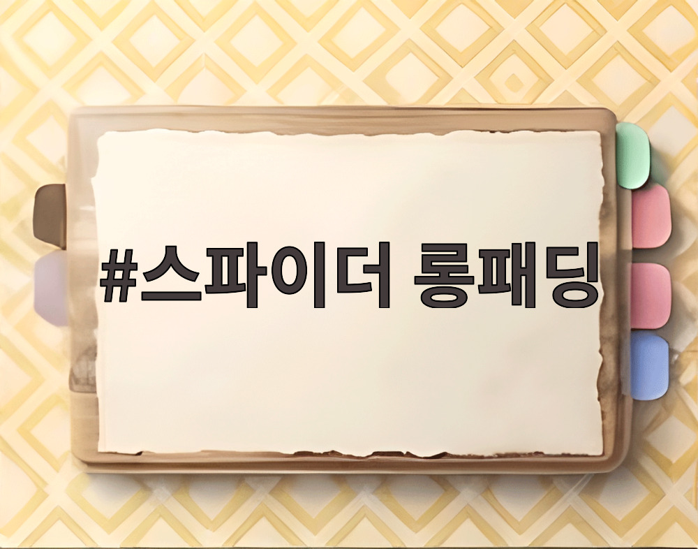 스파이더 롱패딩