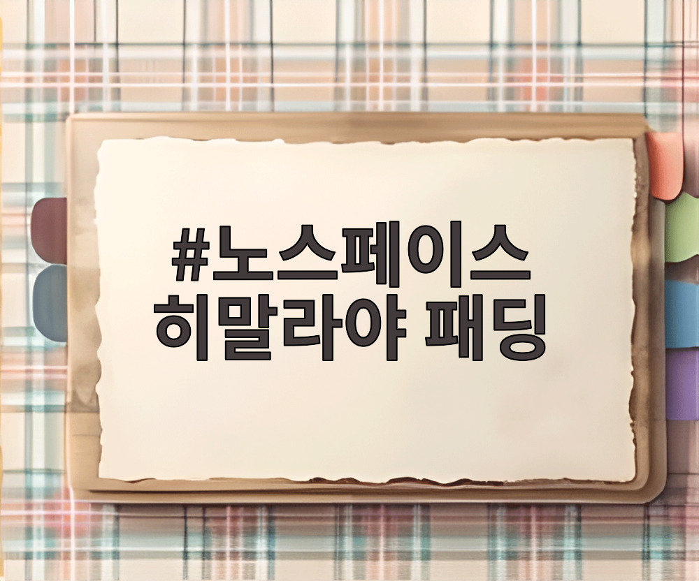 노스페이스 히말라야 패딩
