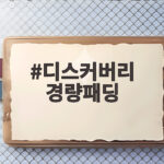 디스커버리 경량패딩 겨울 준비 어떤 제품이 좋을까 디스커버리 경량패딩