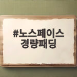 노스페이스 경량패딩