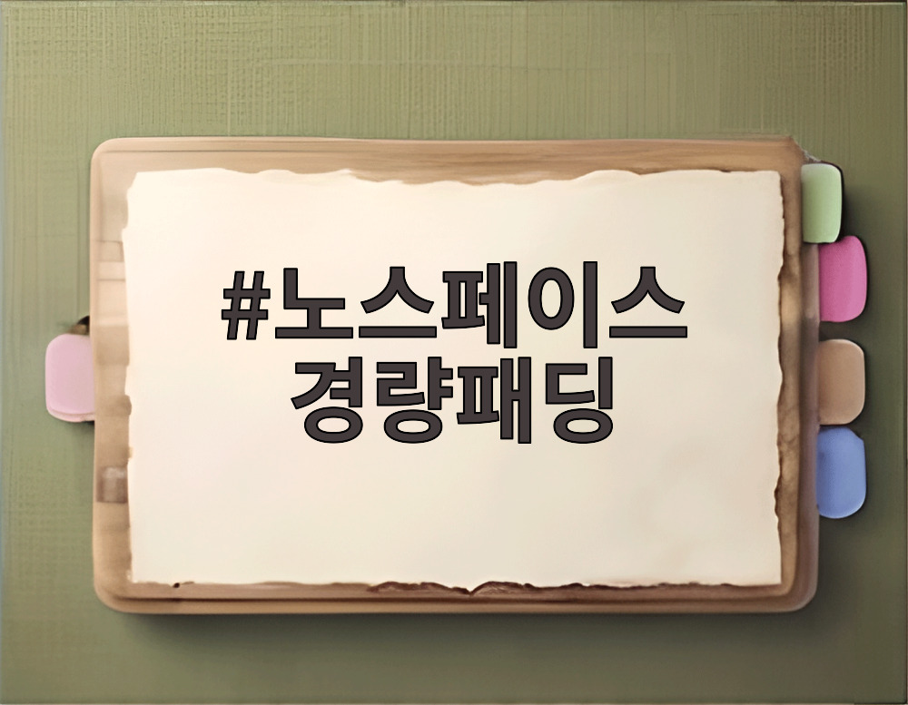 노스페이스 경량패딩