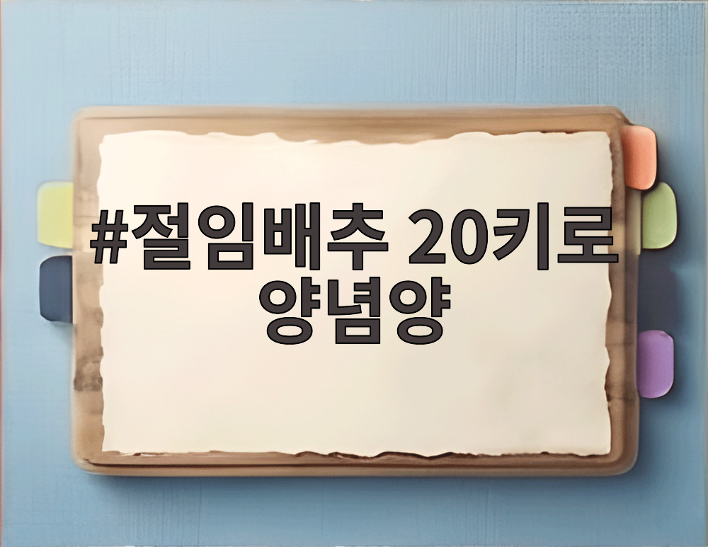 절임배추 20키로 양념양