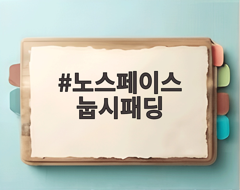 노스페이스 눕시패딩